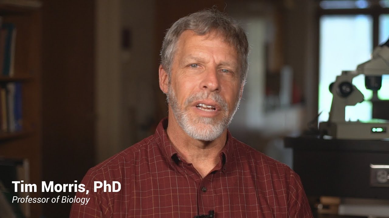 Dr. Tim Morris describes the Biology program
